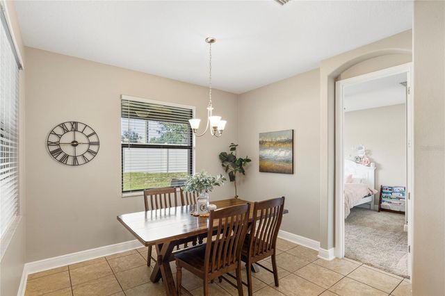 11020 BRAHMAN RANCH CIRCLE, Riverview, FL 33578