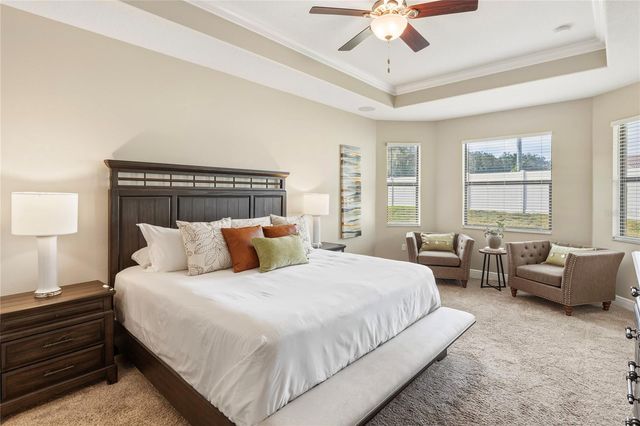 11020 BRAHMAN RANCH CIRCLE, Riverview, FL 33578