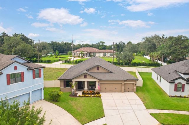 11020 BRAHMAN RANCH CIRCLE, Riverview, FL 33578