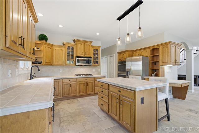 39W842 Louisa May Alcott Lane, St. Charles, IL 60175