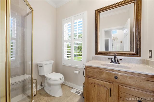 39W842 Louisa May Alcott Lane, St. Charles, IL 60175