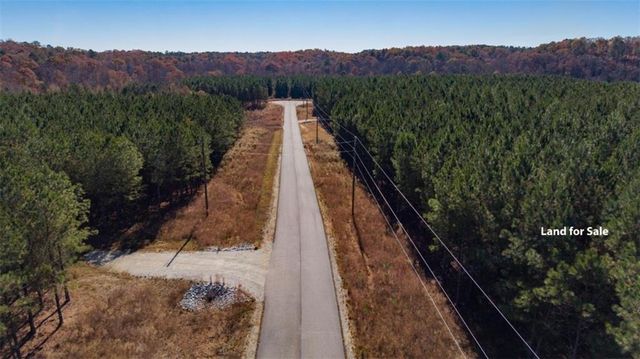 LOT 2 Steadman Lane, Tallapoosa, GA 30176