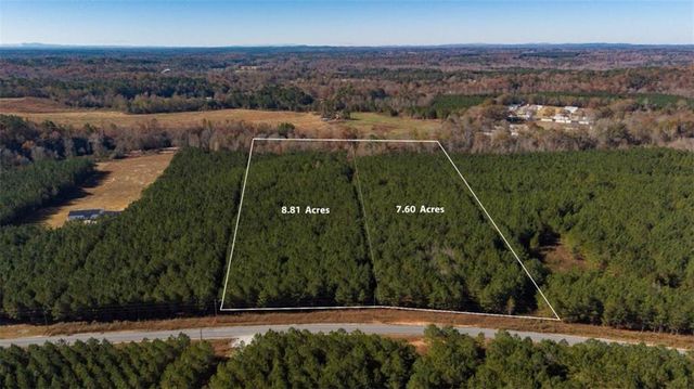 LOT 2 Steadman Lane, Tallapoosa, GA 30176