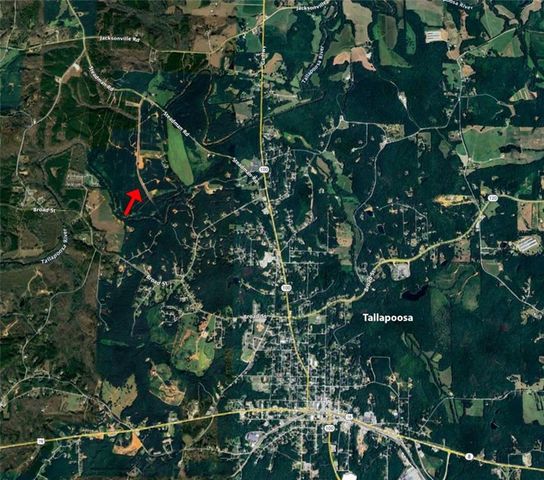LOT 2 Steadman Lane, Tallapoosa, GA 30176