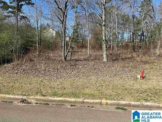 1 SUMMIT RIDGE WAY, Argo, AL 35120