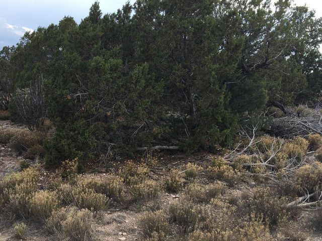 94 Cloonagh Road, Edgewood, NM 87015