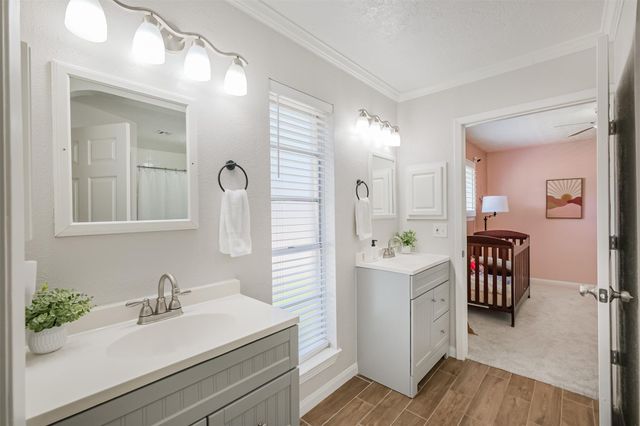 2314 Pepperweed Drive, Houston, TX 77084
