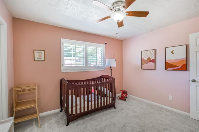 2314 Pepperweed Drive, Houston, TX 77084