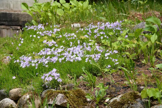 2481 S Schomberg Road, Lake Leelanau, MI 49653