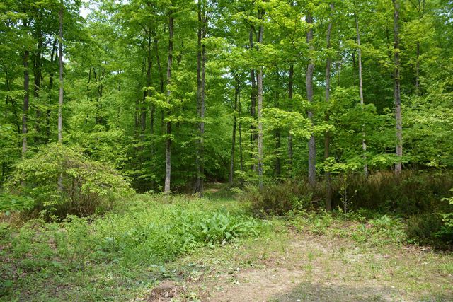 2481 S Schomberg Road, Lake Leelanau, MI 49653