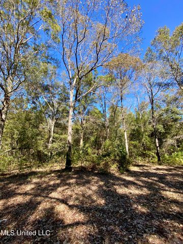 131 Monk Mitchell Road, Picayune, MS 39466