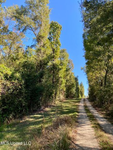 131 Monk Mitchell Road, Picayune, MS 39466