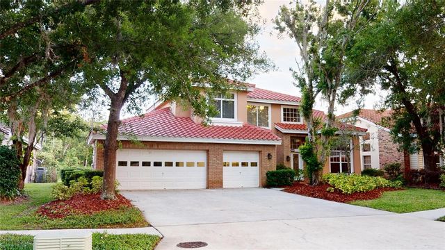 17833 GREEN WILLOW DRIVE, Tampa, FL 33647