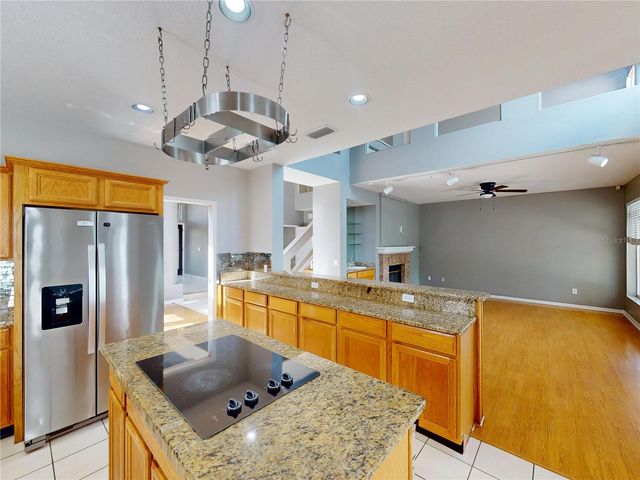 17833 GREEN WILLOW DRIVE, Tampa, FL 33647