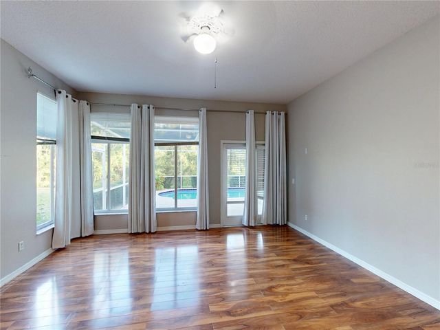 17833 GREEN WILLOW DRIVE, Tampa, FL 33647