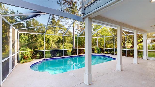 17833 GREEN WILLOW DRIVE, Tampa, FL 33647