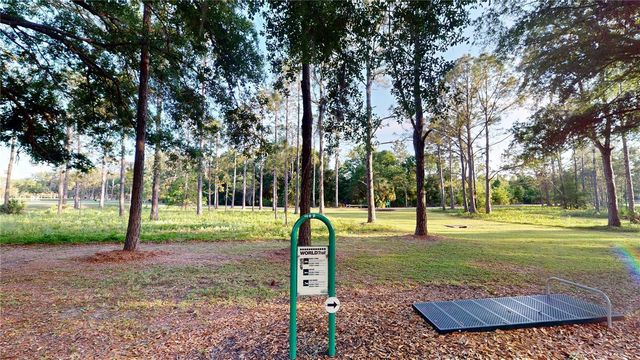 17833 GREEN WILLOW DRIVE, Tampa, FL 33647