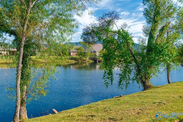 2943 Magnolia Park Drive, Owens Cross Roads, AL 35763