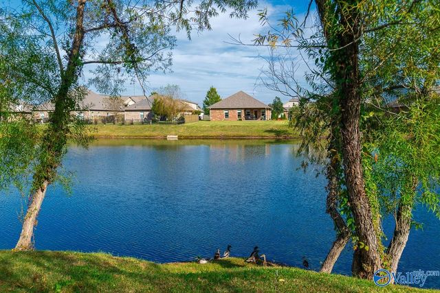 2943 Magnolia Park Drive, Owens Cross Roads, AL 35763