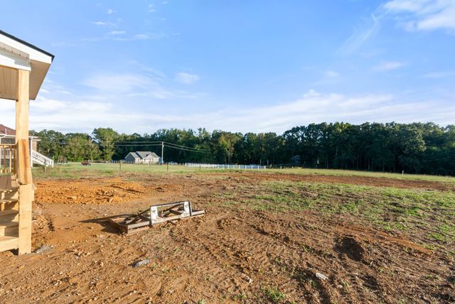 81 Dukes Park Rd, Summertown, TN 38483