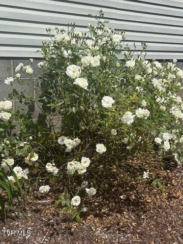 1435 Bailey Bridge Road, Limestone, TN 37681