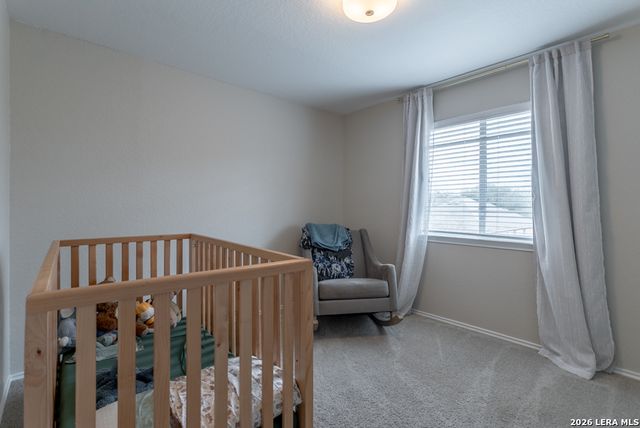 3009 Muntjac, Schertz, TX 78154