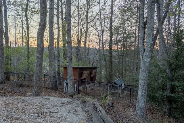 141 Chambers Mtn, Mineral Bluff, GA 30559