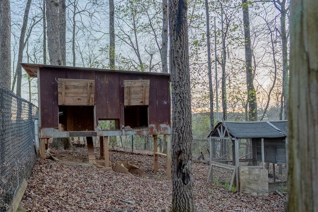 141 Chambers Mtn, Mineral Bluff, GA 30559