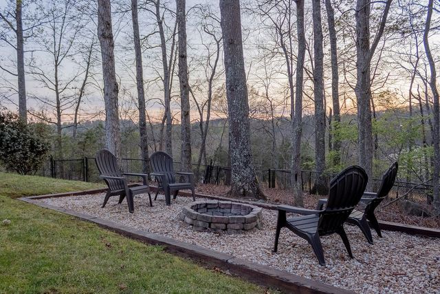 141 Chambers Mtn, Mineral Bluff, GA 30559