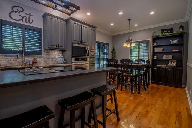 141 Chambers Mtn, Mineral Bluff, GA 30559
