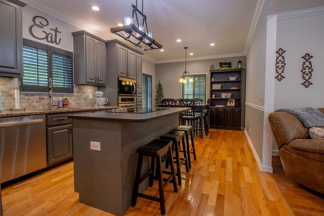 141 Chambers Mtn, Mineral Bluff, GA 30559