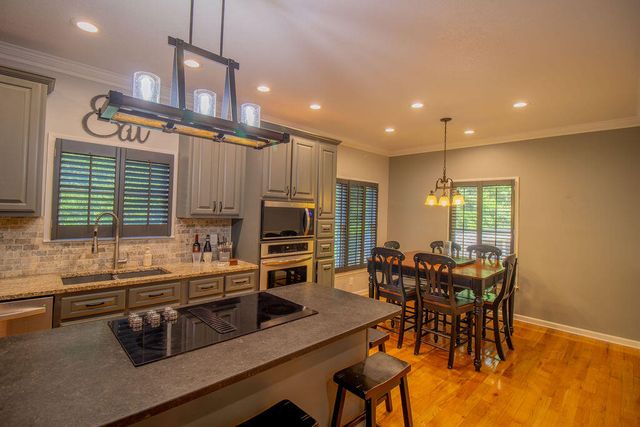 141 Chambers Mtn, Mineral Bluff, GA 30559