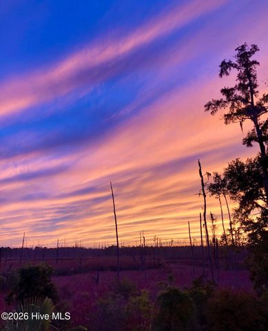 1242 Charleston Common Drive, Leland, NC 28451