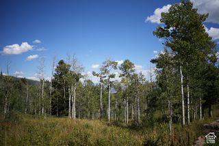 2481 FOREST MEADOW RD D91, Wanship, UT 84017
