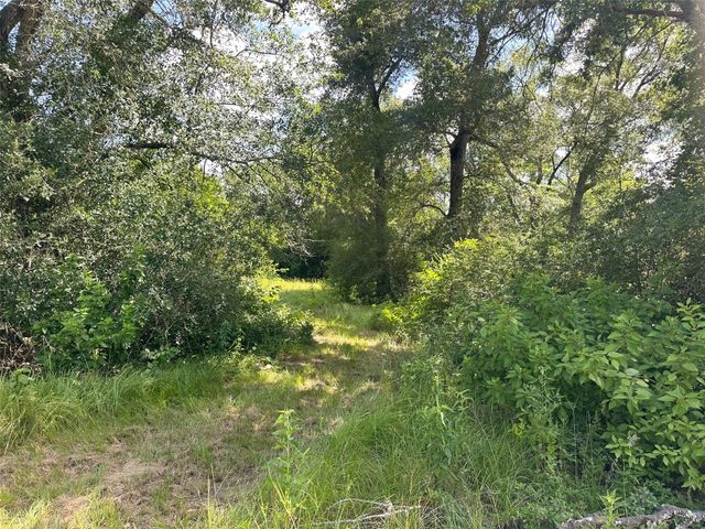 4074 Bucksnort Road, Franklin, TX 77856