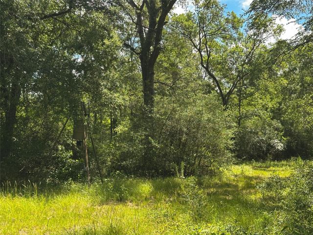 4074 Bucksnort Road, Franklin, TX 77856