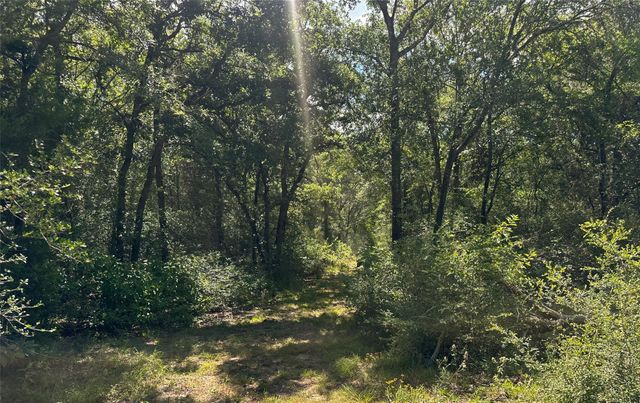 4074 Bucksnort Road, Franklin, TX 77856