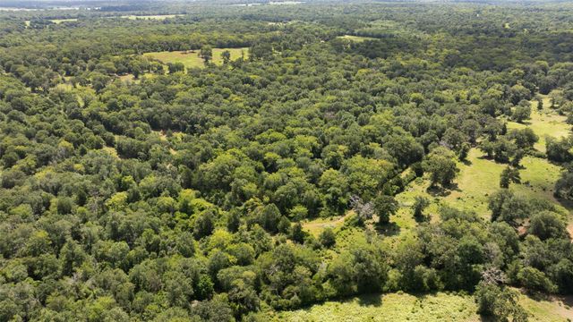 4074 Bucksnort Road, Franklin, TX 77856