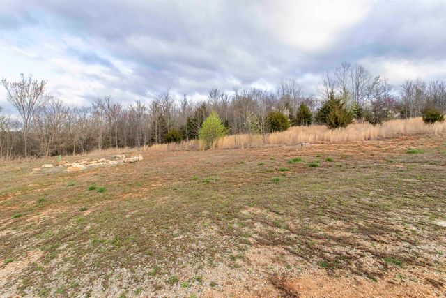 7 Jo Jo Street, Hardy, AR 72542