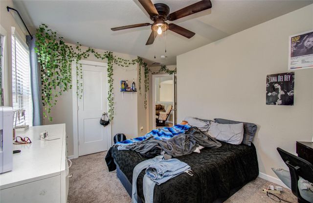 22290 Rustling Cone Ct Court, Porter, TX 77365