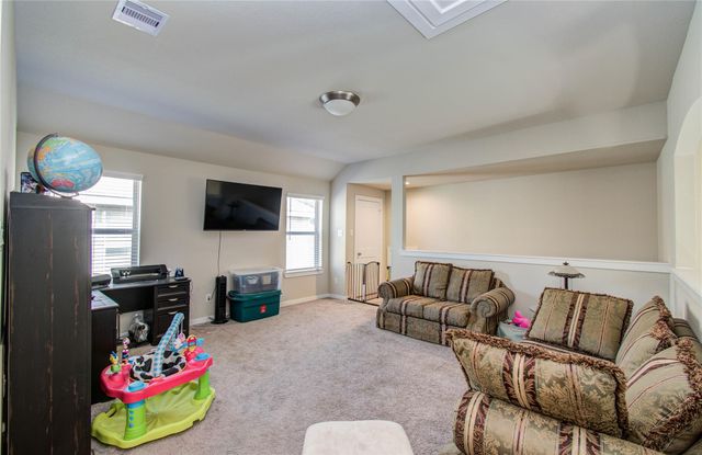 22290 Rustling Cone Ct Court, Porter, TX 77365