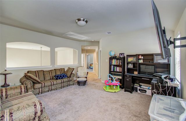 22290 Rustling Cone Ct Court, Porter, TX 77365