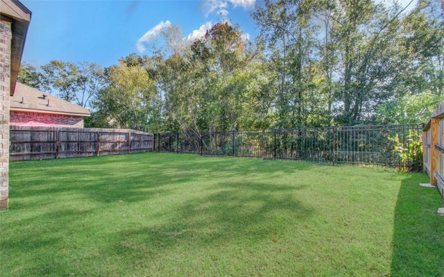 22290 Rustling Cone Ct Court, Porter, TX 77365