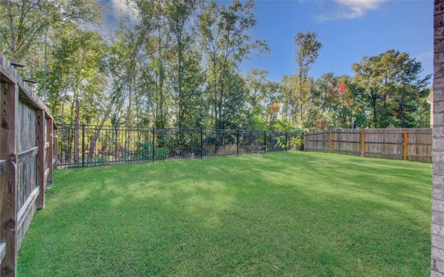 22290 Rustling Cone Ct Court, Porter, TX 77365