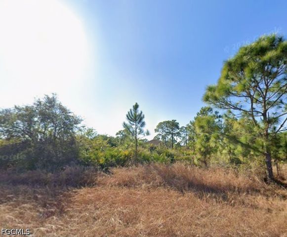 646 Stark AVE S, Lehigh Acres, FL 33974