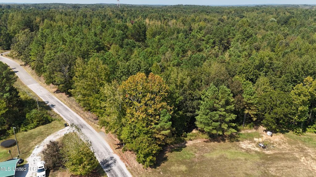 Wilkins Chapel, Holly Springs, MS 38635 — photo 2