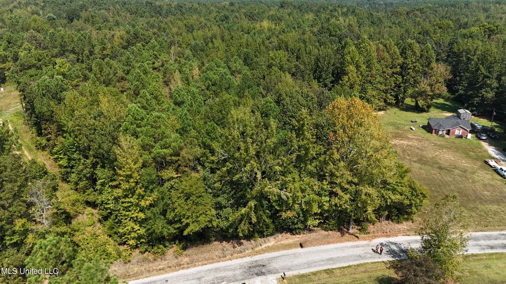 Wilkins Chapel, Holly Springs, MS 38635 — photo 5