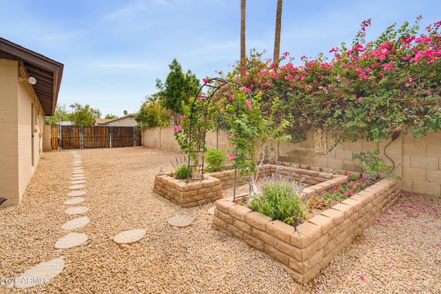 14238 N 61st Street, Scottsdale, AZ 85254