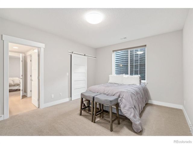 1115 Waterfall Street, Timnath, CO 80547