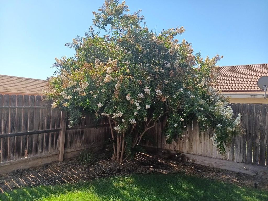 Image 7 of property listing at 15887 W Stanislaus Avenue, Kerman, CA 93630
